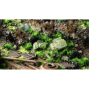 Gamers Grass - Alien Toxic Tuft Set