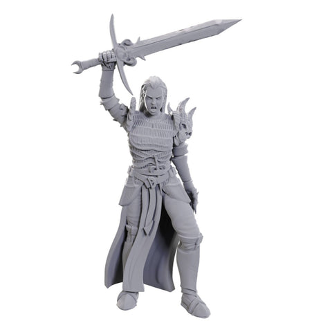 Blackguard - Nolzur's Marvelous Unpainted Miniatures