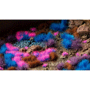 Gamers Grass - Mystic Nebulae Tuft Set