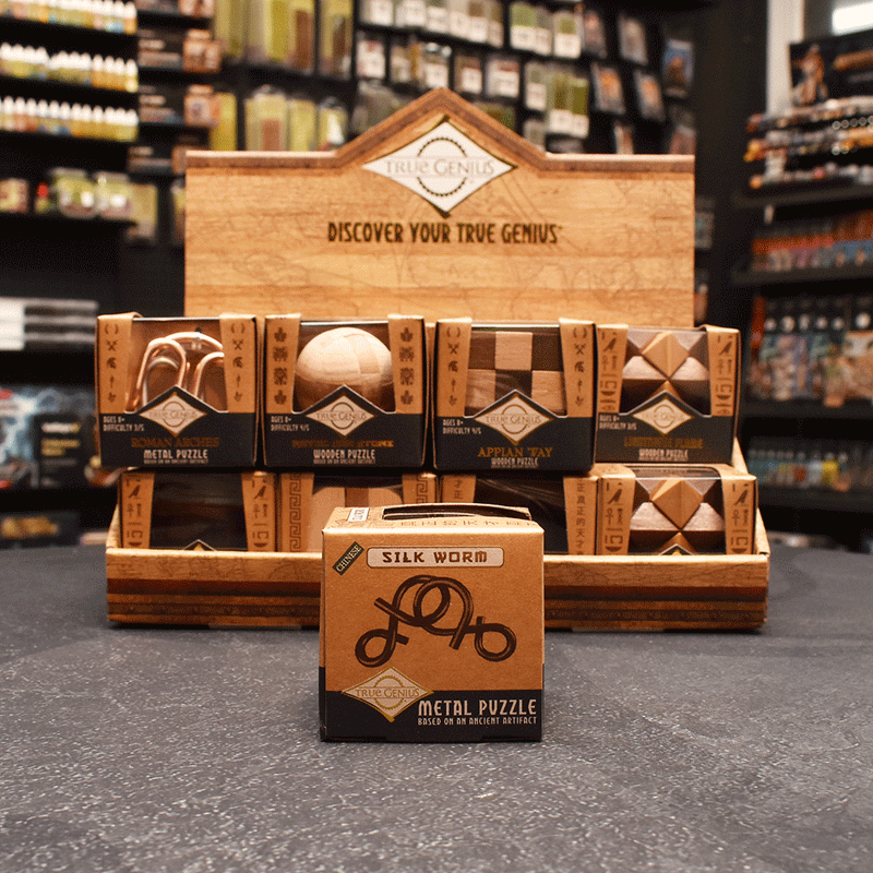 Project Genius Mini Brainteaser Puzzle - Silk Worm