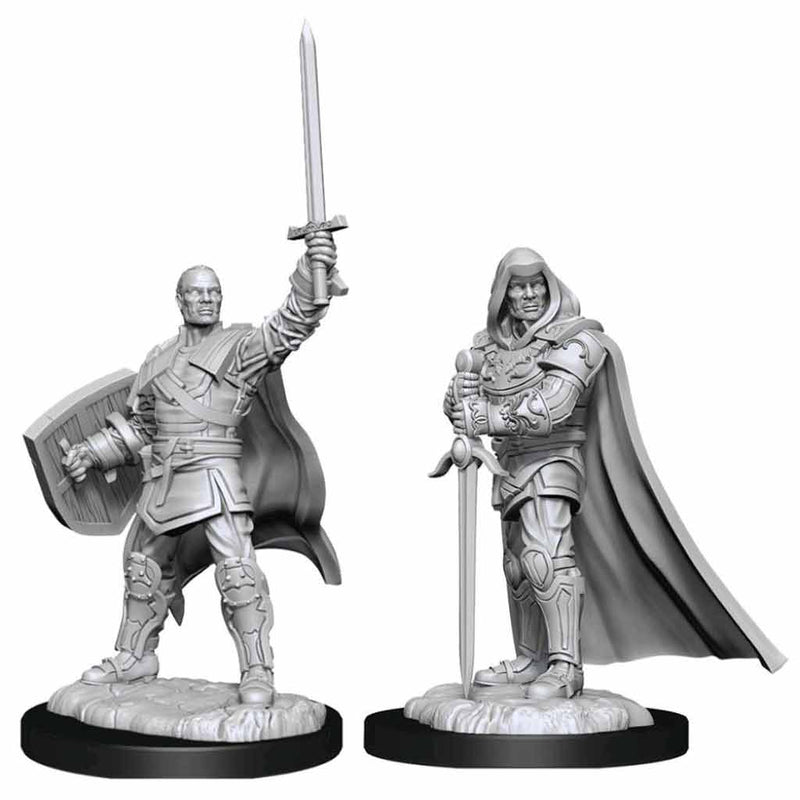 Human Paladin Male Nolzur's Marvelous Unpainted Miniatures - Bea DnD Games