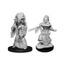 Night Hag & Dusk Hag Nolzur's Marvelous Unpainted Miniatures - Bea DnD Games