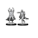 Revenant Nolzur's Marvelous Unpainted Miniatures - Bea DnD Games